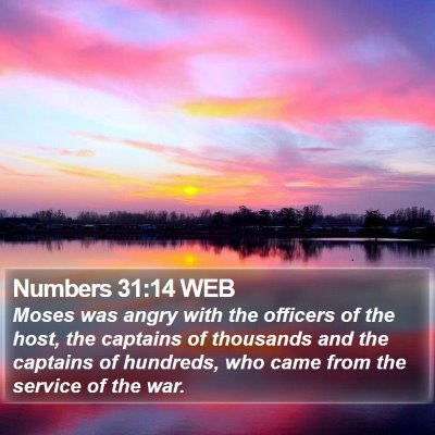 Numbers 31:14 WEB Bible Verse Image