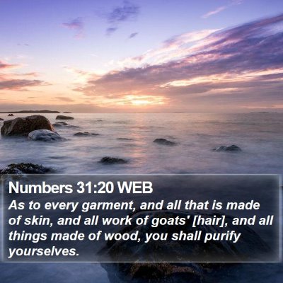 Numbers 31:20 WEB Bible Verse Image
