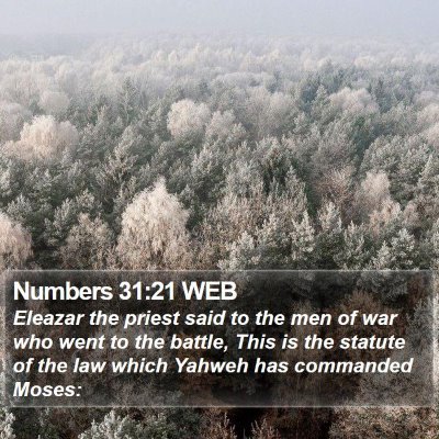 Numbers 31:21 WEB Bible Verse Image