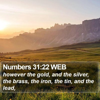 Numbers 31:22 WEB Bible Verse Image