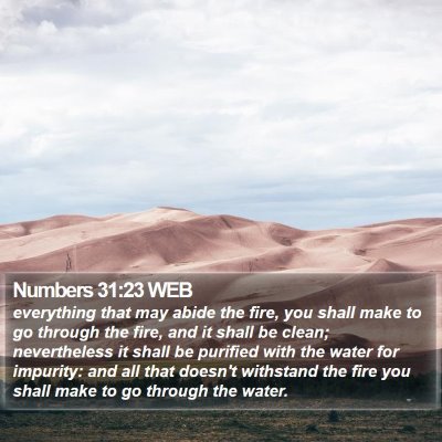 Numbers 31:23 WEB Bible Verse Image