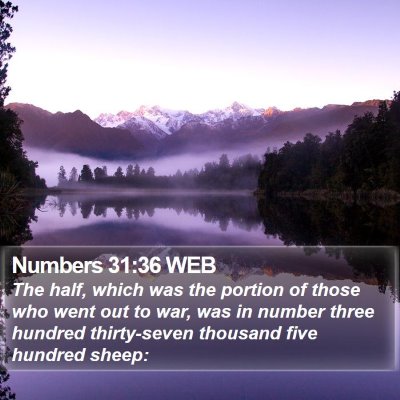 Numbers 31:36 WEB Bible Verse Image