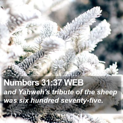 Numbers 31:37 WEB Bible Verse Image