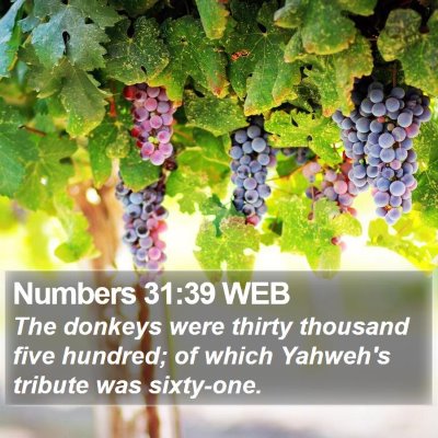 Numbers 31:39 WEB Bible Verse Image