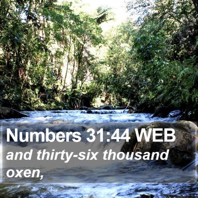 Numbers 31:44 WEB Bible Verse Image