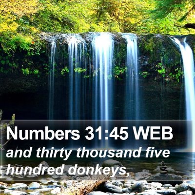 Numbers 31:45 WEB Bible Verse Image