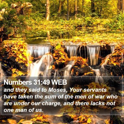Numbers 31:49 WEB Bible Verse Image