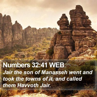 Numbers 32:41 WEB Bible Verse Image