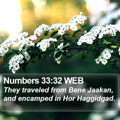 Numbers 33:32 WEB Bible Verse Image