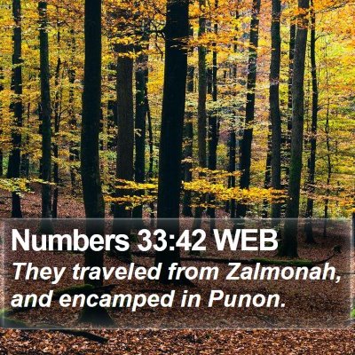 Numbers 33:42 WEB Bible Verse Image