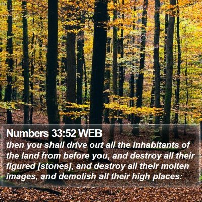 Numbers 33:52 WEB Bible Verse Image