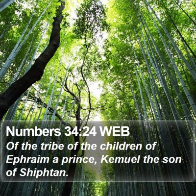 Numbers 34:24 WEB Bible Verse Image