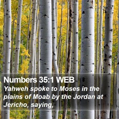 Numbers 35:1 WEB Bible Verse Image