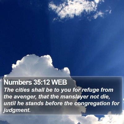 Numbers 35:12 WEB Bible Verse Image