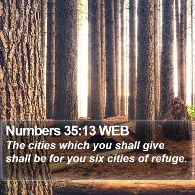 Numbers 35:13 WEB Bible Verse Image
