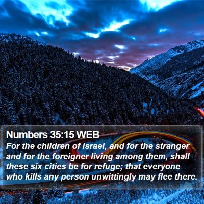 Numbers 35:15 WEB Bible Verse Image