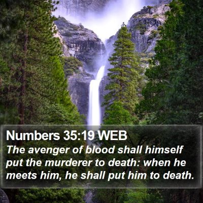 Numbers 35:19 WEB Bible Verse Image