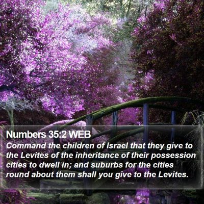 Numbers 35:2 WEB Bible Verse Image