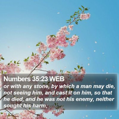 Numbers 35:23 WEB Bible Verse Image