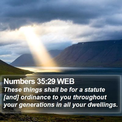 Numbers 35:29 WEB Bible Verse Image