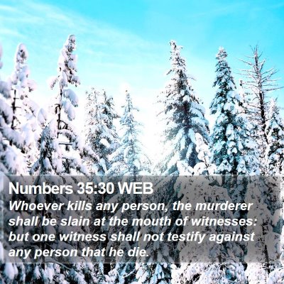 Numbers 35:30 WEB Bible Verse Image