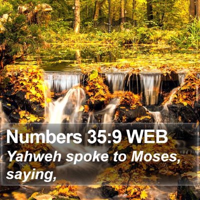 Numbers 35:9 WEB Bible Verse Image
