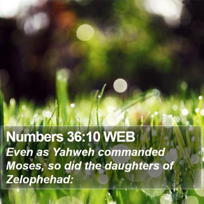 Numbers 36:10 WEB Bible Verse Image
