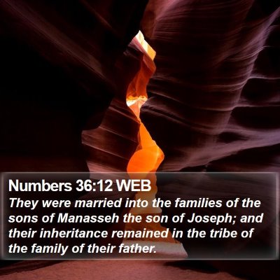 Numbers 36:12 WEB Bible Verse Image