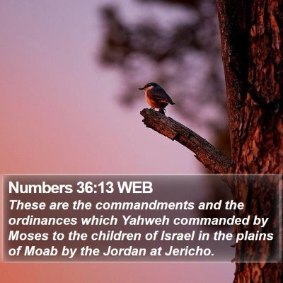 Numbers 36:13 WEB Bible Verse Image