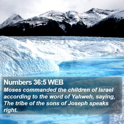Numbers 36:5 WEB Bible Verse Image