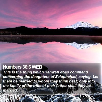 Numbers 36:6 WEB Bible Verse Image