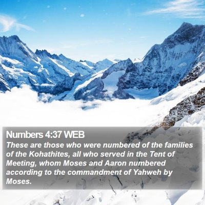 Numbers 4:37 WEB Bible Verse Image