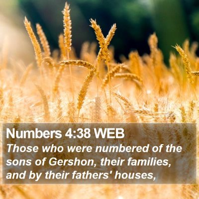 Numbers 4:38 WEB Bible Verse Image