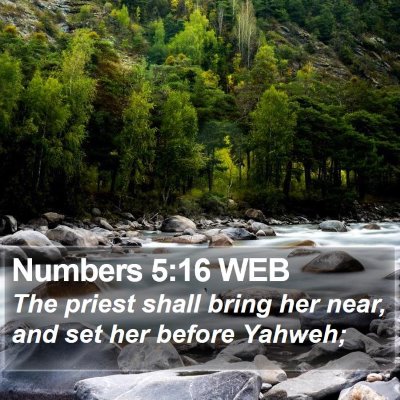 Numbers 5:16 WEB Bible Verse Image