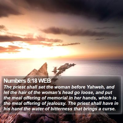 Numbers 5:18 WEB Bible Verse Image
