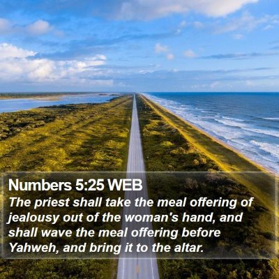 Numbers 5:25 WEB Bible Verse Image