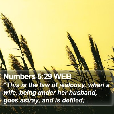 Numbers 5:29 WEB Bible Verse Image