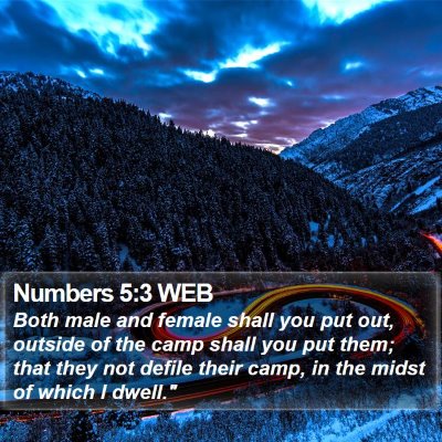 Numbers 5:3 WEB Bible Verse Image