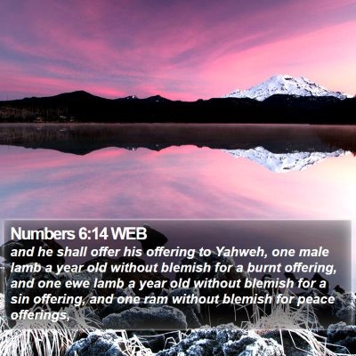 Numbers 6:14 WEB Bible Verse Image