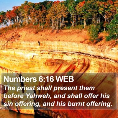 Numbers 6:16 WEB Bible Verse Image