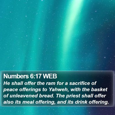 Numbers 6:17 WEB Bible Verse Image