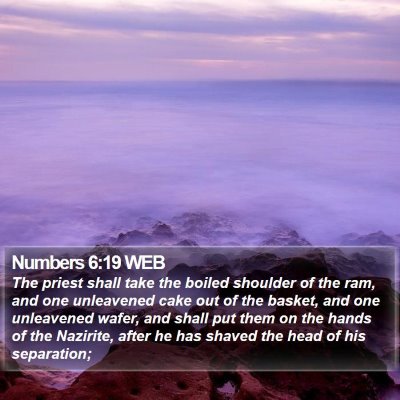 Numbers 6:19 WEB Bible Verse Image