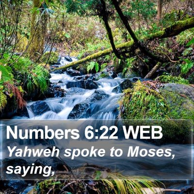 Numbers 6:22 WEB Bible Verse Image