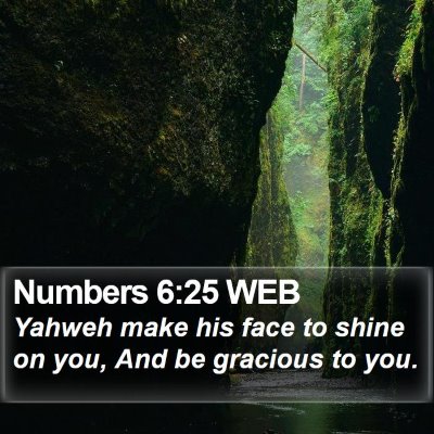 Numbers 6:25 WEB Bible Verse Image