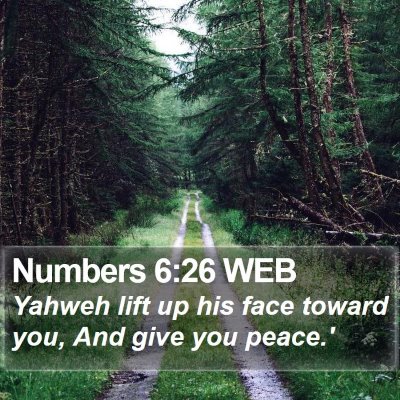 Numbers 6:26 WEB Bible Verse Image