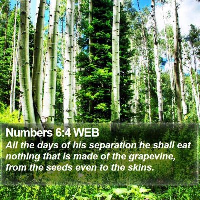 Numbers 6:4 WEB Bible Verse Image
