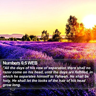Numbers 6:5 WEB Bible Verse Image