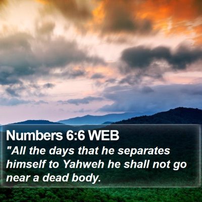 Numbers 6:6 WEB Bible Verse Image