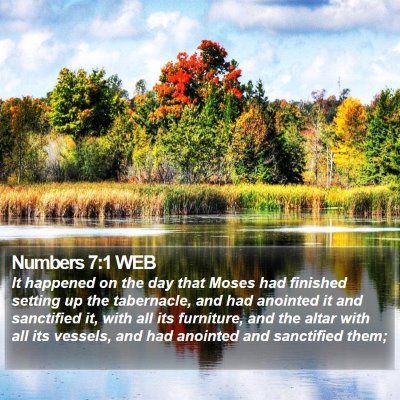 Numbers 7:1 WEB Bible Verse Image