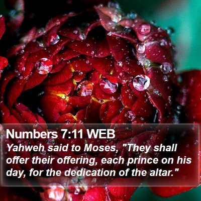 Numbers 7:11 WEB Bible Verse Image